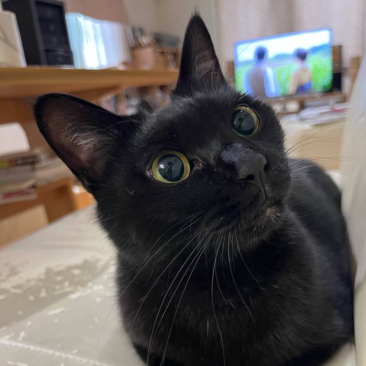 2b63fcfd e0d3 4334 a505 11645fbd4873 1695338336609