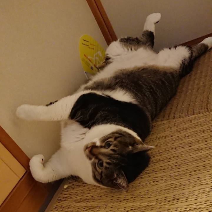 2b6418db 20b0 4cf8 b38b 5f59254c3440 1534142423991