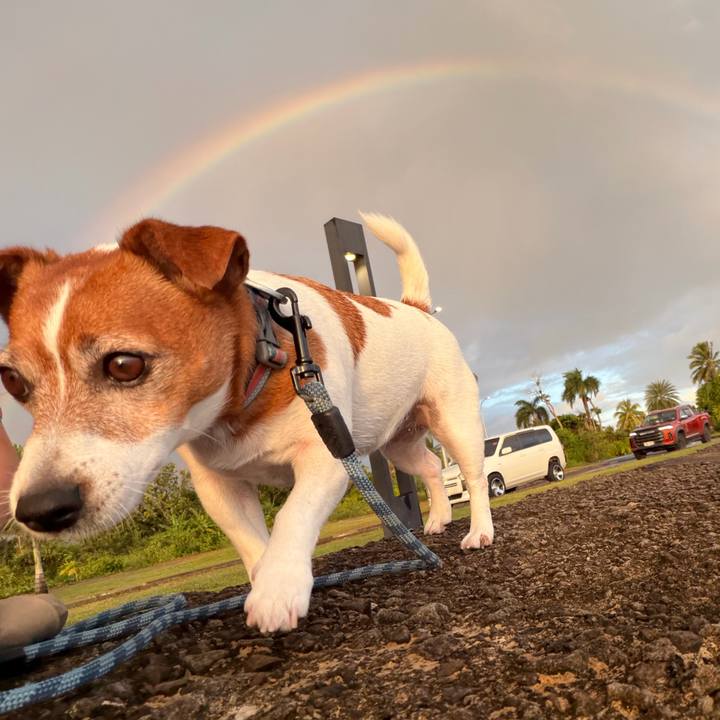 2b643101 6b6a 4e81 befe 86dfb4652adb 1769416113899