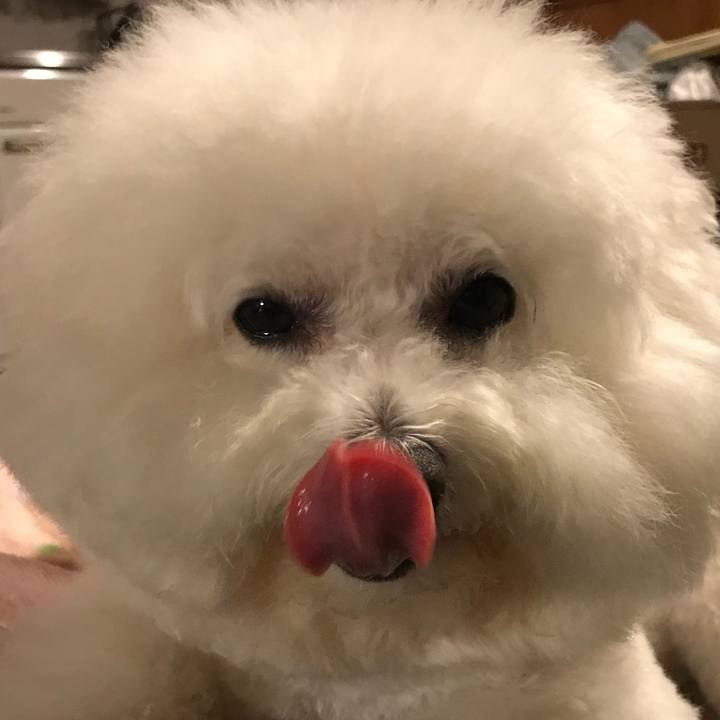 2b64ccb0 0188 4975 82b0 5123ccca382b 1557657627417