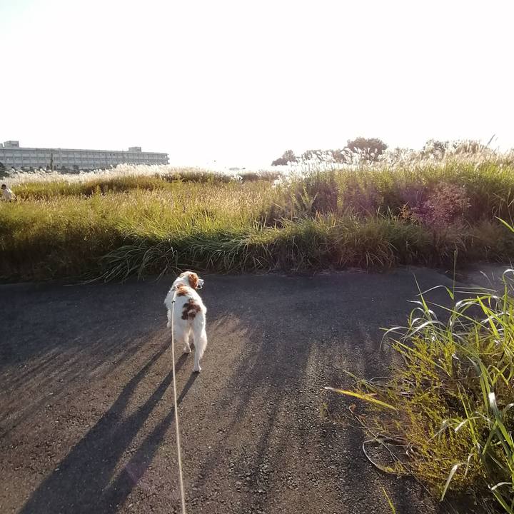 2b64ff86 10f0 49f5 bd64 661deb31fda0 1572522192127