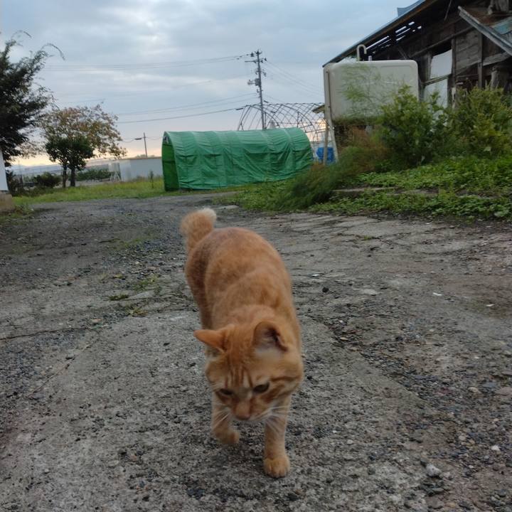 2b65197d a87f 4df4 8e4d 915dff7bbf1d 1665702773473