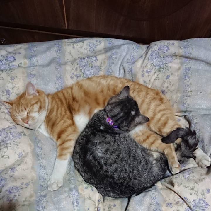 2b65360c fbfe 43c9 bf95 d85d1a5934d4 1579955870057