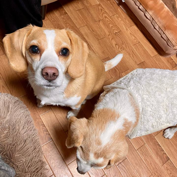 2b6564a5 7fcd 41ca 8ec6 2e223bbf55e8 1636454450312