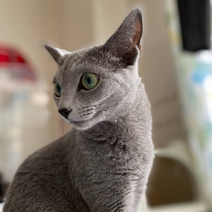 2b659d75 3864 4edf a4cb f723919f5a40 1624749630661