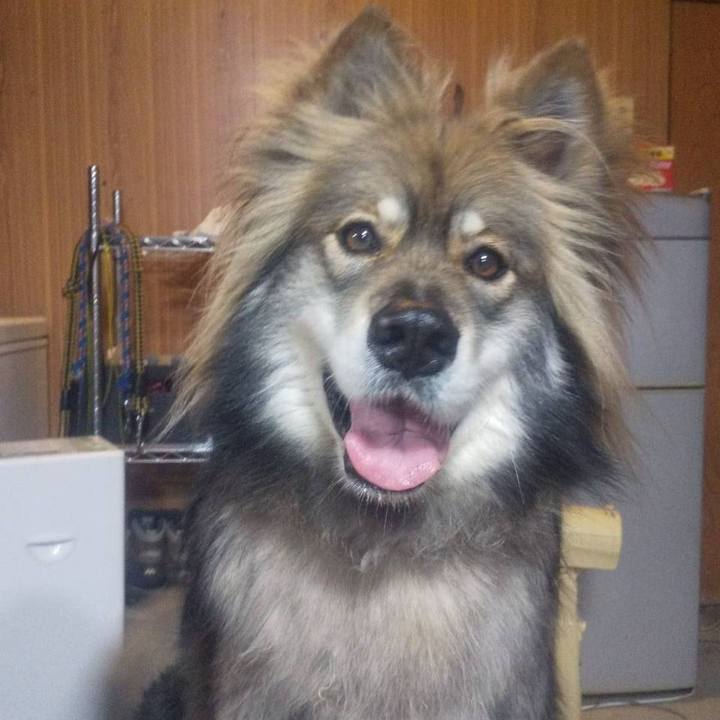 2b662553 2cfa 49e1 a693 4ae524d7ca7a 1591195143415