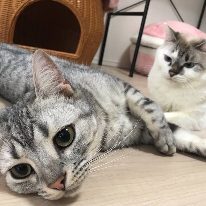 2b664565 919d 42ef 92eb 1fca534218f4 1542942142167