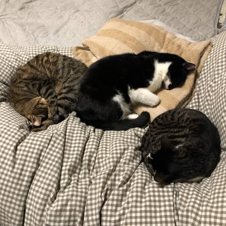 2b666848 5611 4ed7 b96d 5345c3f7551e 1543238462798