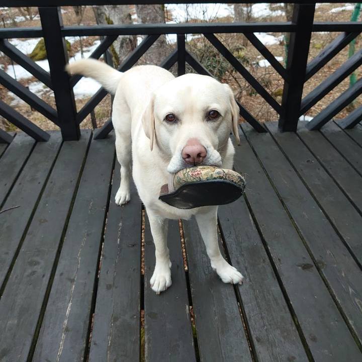 2b667482 74ac 46cc 9c76 55a3873c9560 1615118773547