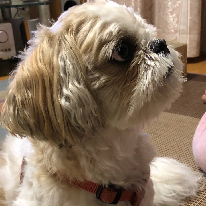 2b66a05f faff 4a44 9e83 3ac96ac4a942 1535406088123