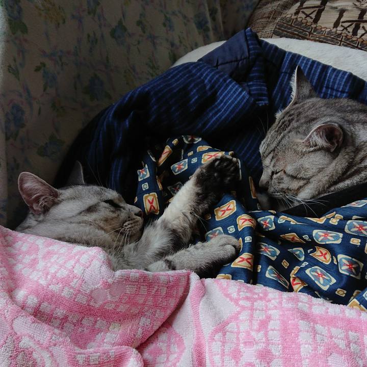 2b66bfea 6745 455c 8632 75b65e3156bb 1567065303862