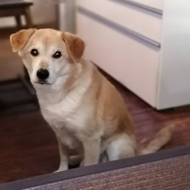 2b6720af 7d83 4f0d 8e5c 8d4ccfaff879 1616536066771