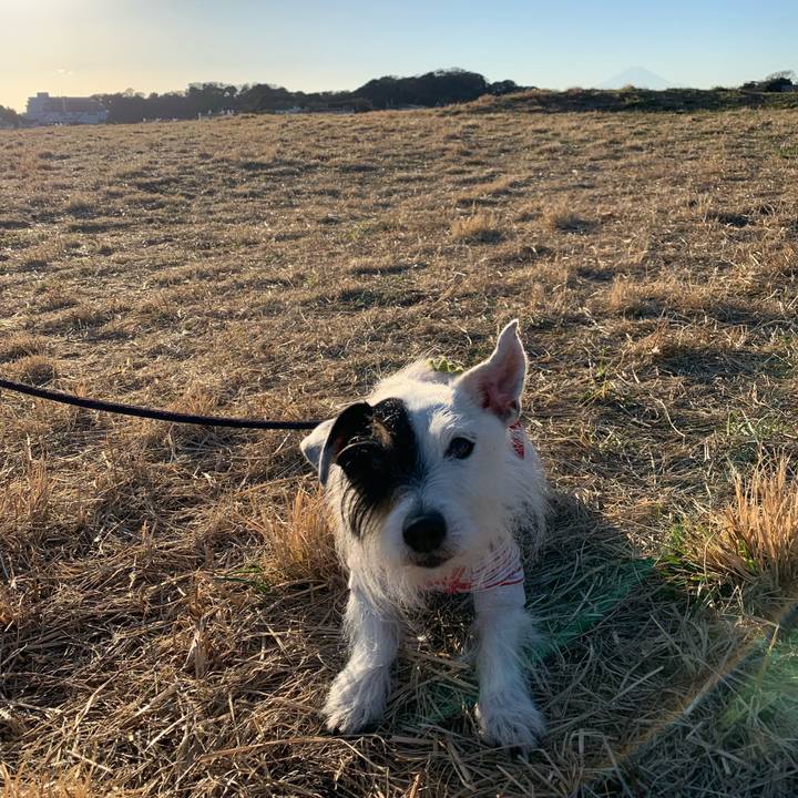 2b673366 304f 4146 9222 53567d2a786b 1674199092287