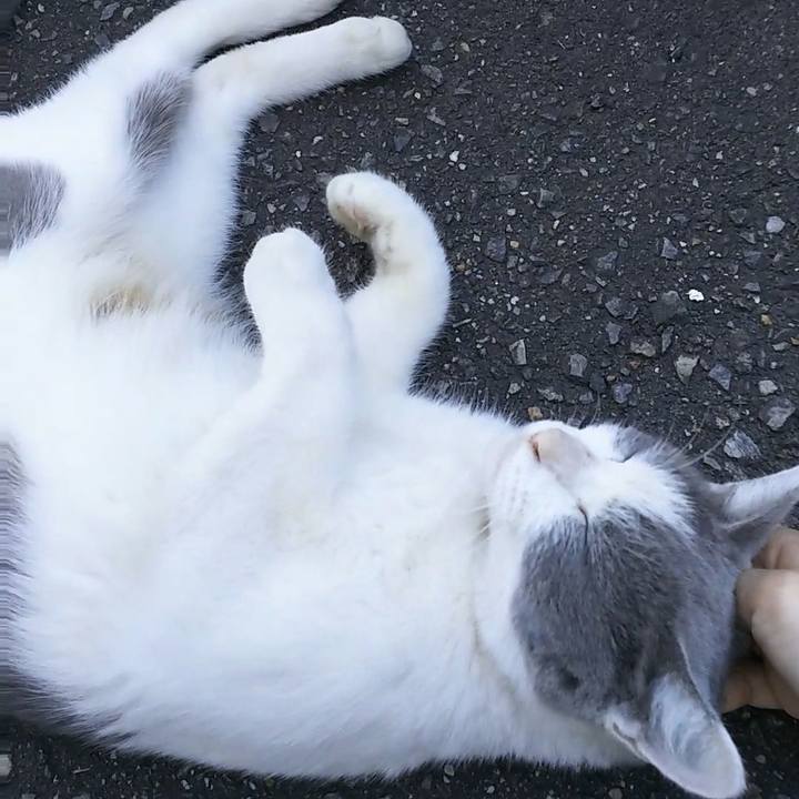 2b6751c3 8d56 4e4b bcae abfce9492451 1538979098322