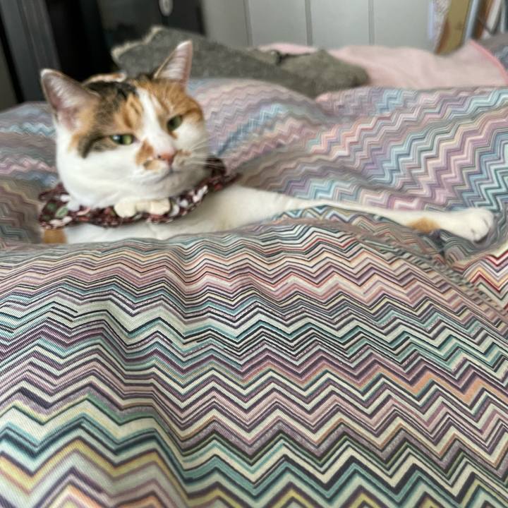 2b677cc2 f339 425d a968 4a6069ef47ac 1740541479662