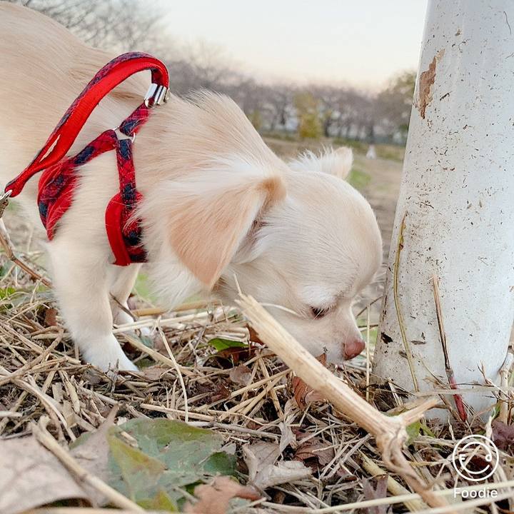 2b67d217 0230 4778 a642 29771f576578 1607336796484