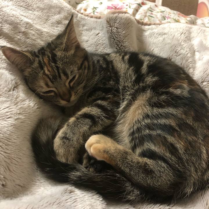 2b67e961 c9ab 44fb 80bc a248ebb552c2 1583476942897