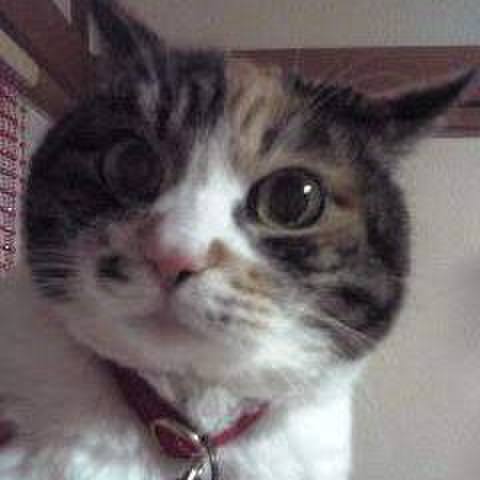 2b67f403 1ebf 484c 9231 5789691d1eeb 1645572885359