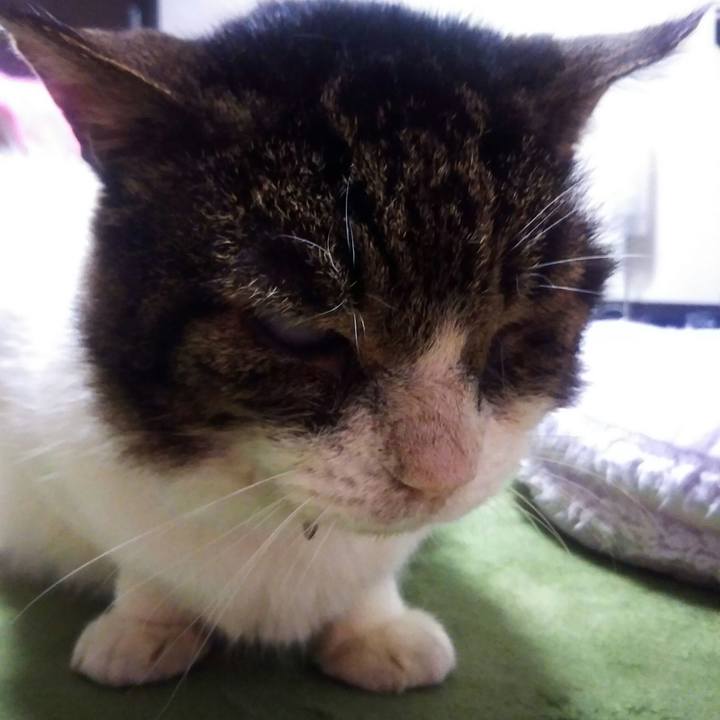 2b682738 995e 4725 9355 f4117977205d 1564991288511