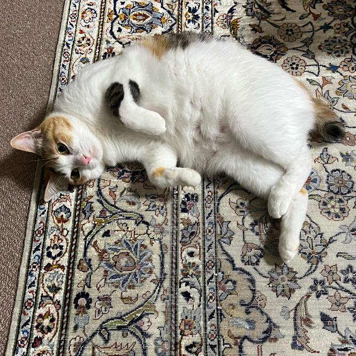 2b68495d b120 4d7e b1ab b1df9dd1df81 1769352543034