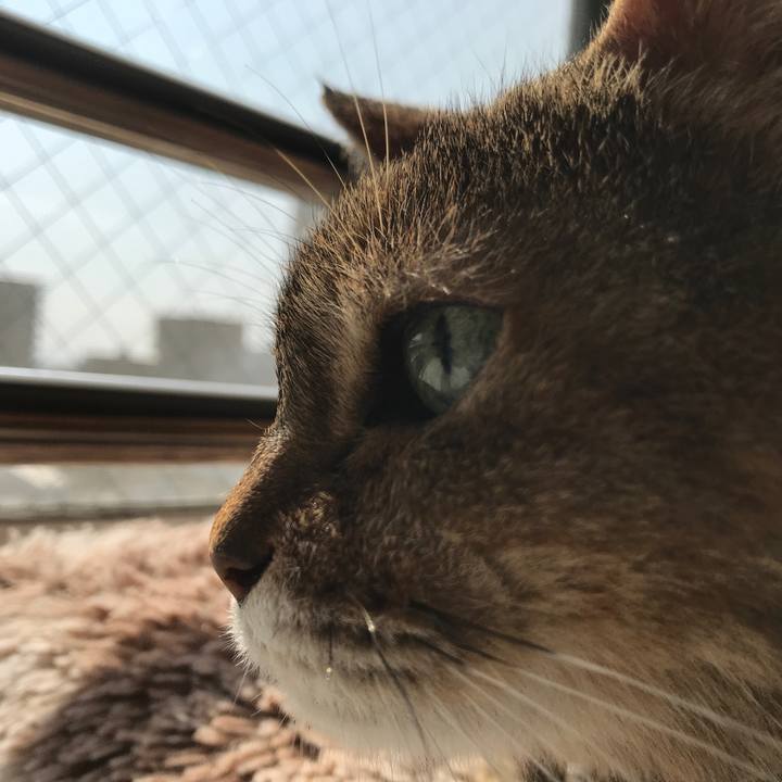 2b68623c 0fa0 45e5 b560 bc02af6aa66d 1550986347185