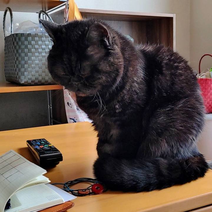 2b68a1a9 2d27 4e87 a550 9e464e27900c 1643510322428