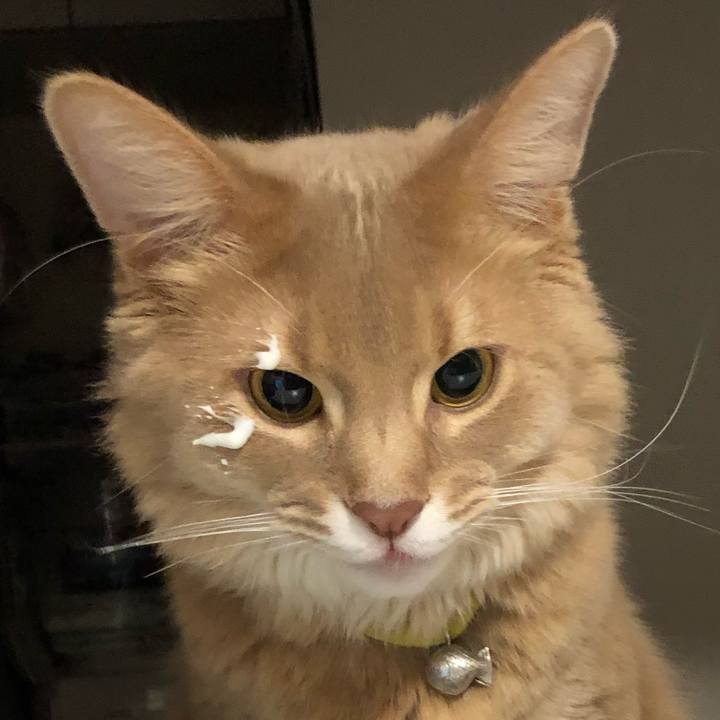 2b68db39 0eb4 48bc 9ea9 f29c8943b9db 1581241209727