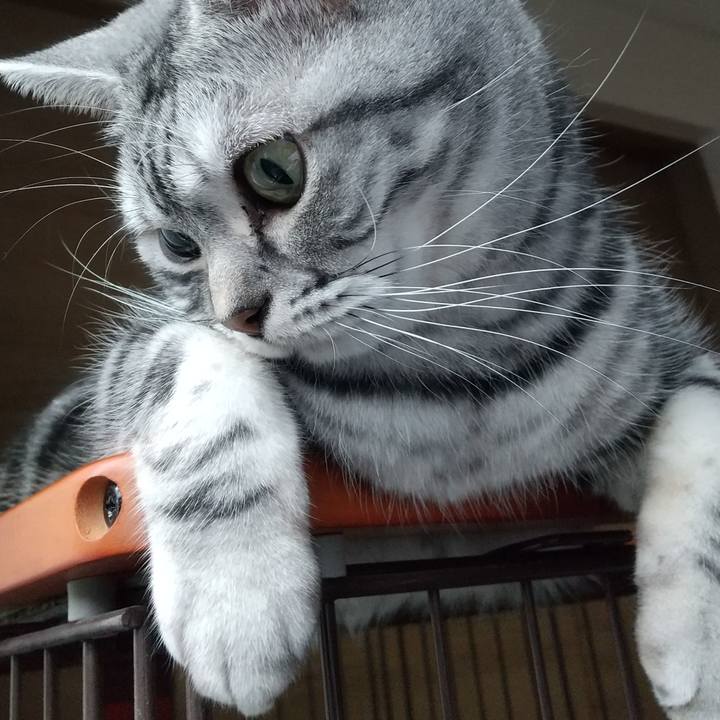 2b690127 d0e0 425d 9ee6 9bf32d82e103 1679110455415