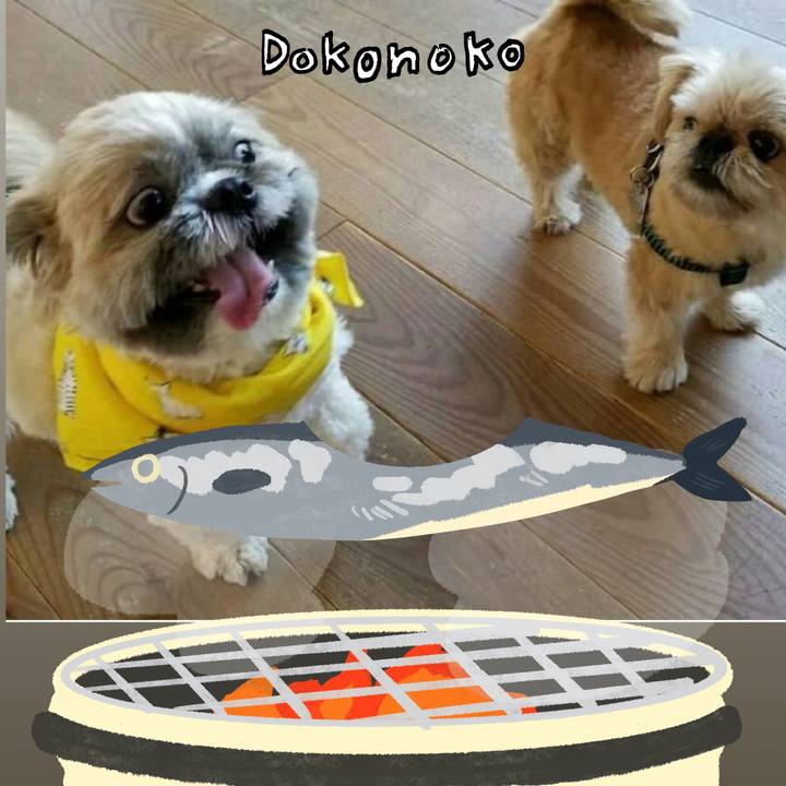 2b69132f ee28 48a4 9ec6 dc201ef76a6e 1761181672288