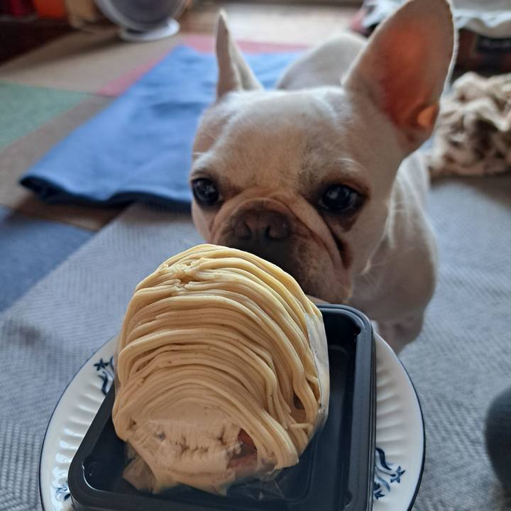 2b693f4a db95 4903 bfa0 c846825ec1d8 1697495816088