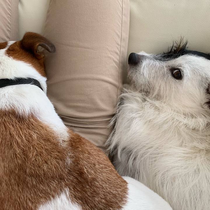 2b695a1d f5e8 40f6 8c62 9dfc62425af0 1566283249058