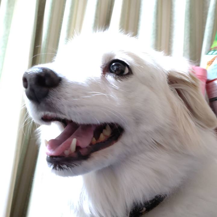 2b698d7f 2527 4a9c 8ac3 beebb77021a3 1643028274773