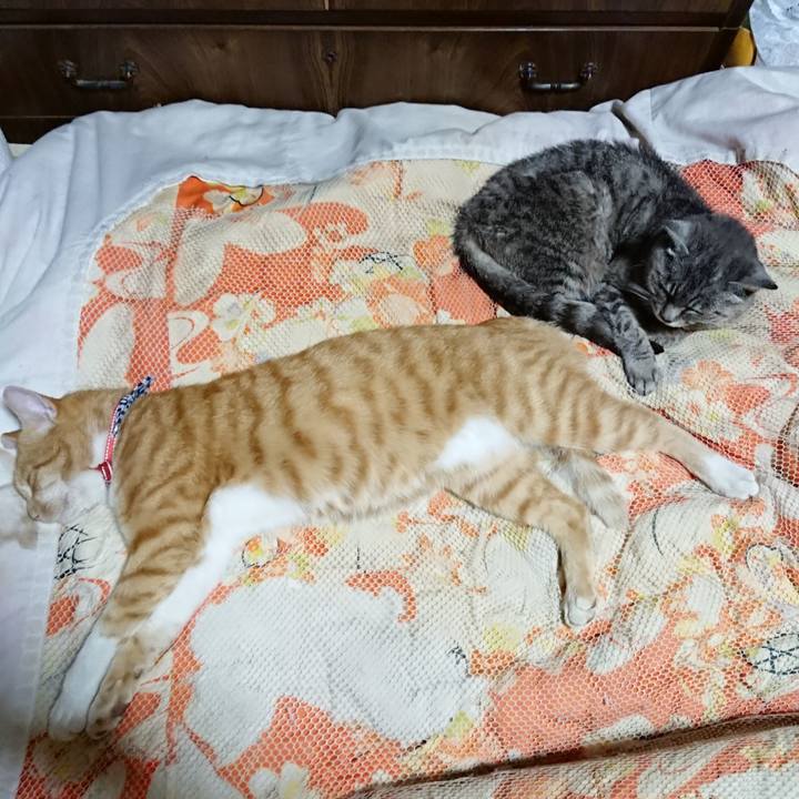 2b69a76f 9c98 4c04 9cd6 36a315e3f594 1569242644918