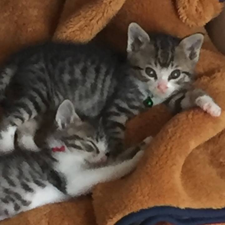 2b69be22 8cde 4a73 be8a 6455984477df 1652752199224