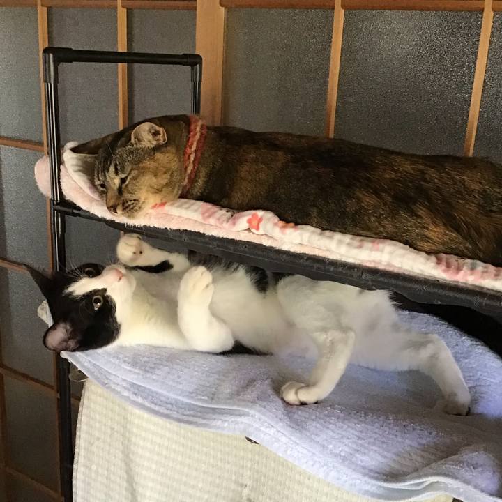 2b69c7b2 440e 46f6 ac02 f21042a82f9f 1633505512975