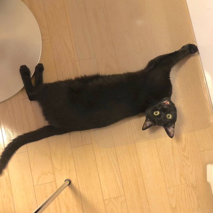 2b69f13c 8510 47cd b635 501d581a5dd8 1526480351841