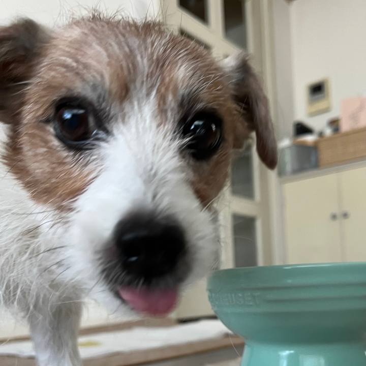 2b6a00b9 4e24 4429 913d 16556716ca44 1762051436073