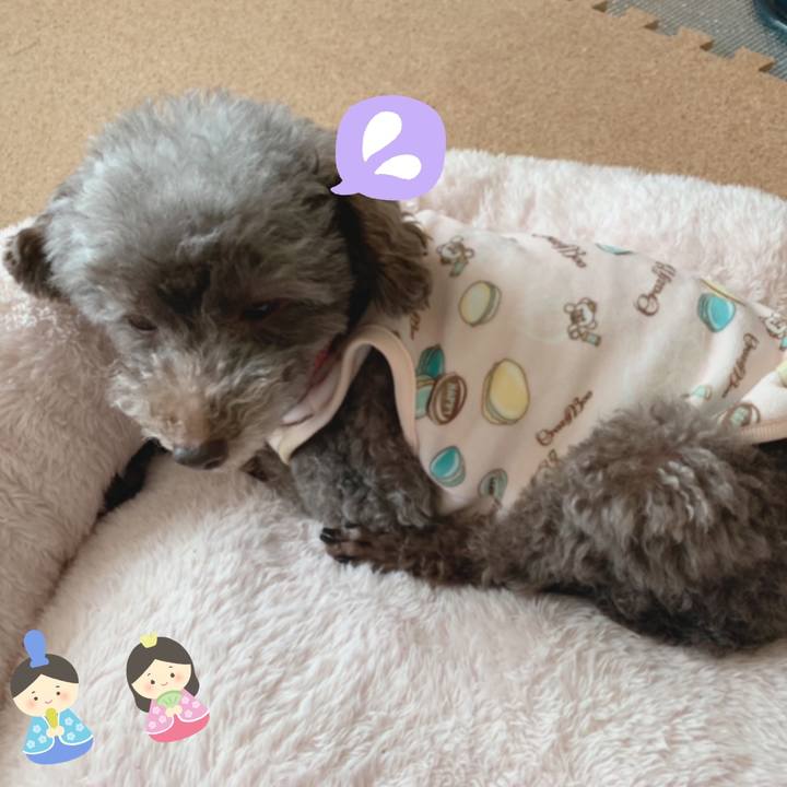 2b6a026b 8c71 47e3 a39a 9d1230ed6802 1646270585284