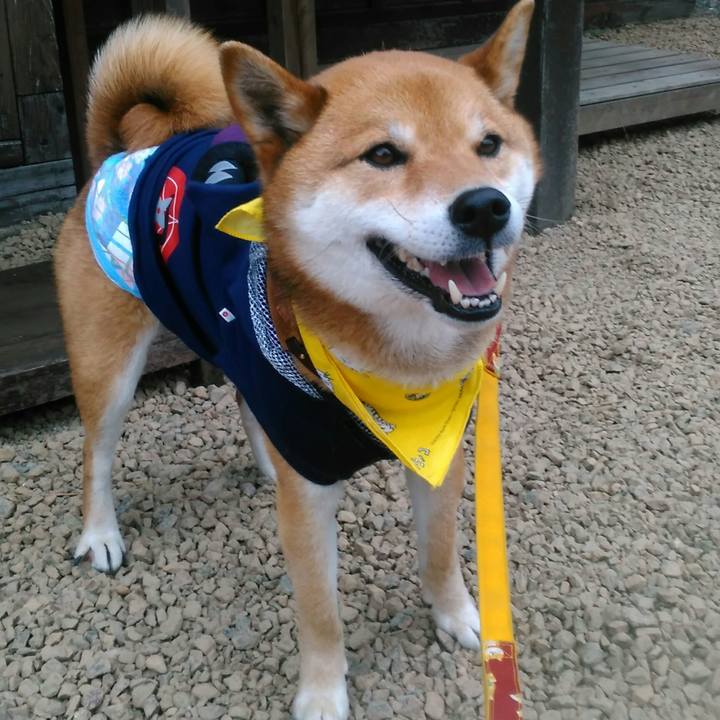 2b6a0baa d4e7 4df8 866d 60f021966300 1523689682805