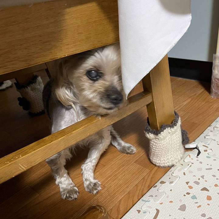 2b6a12f8 3fd9 4ebc a683 739eafc3b9b3 1712743341363