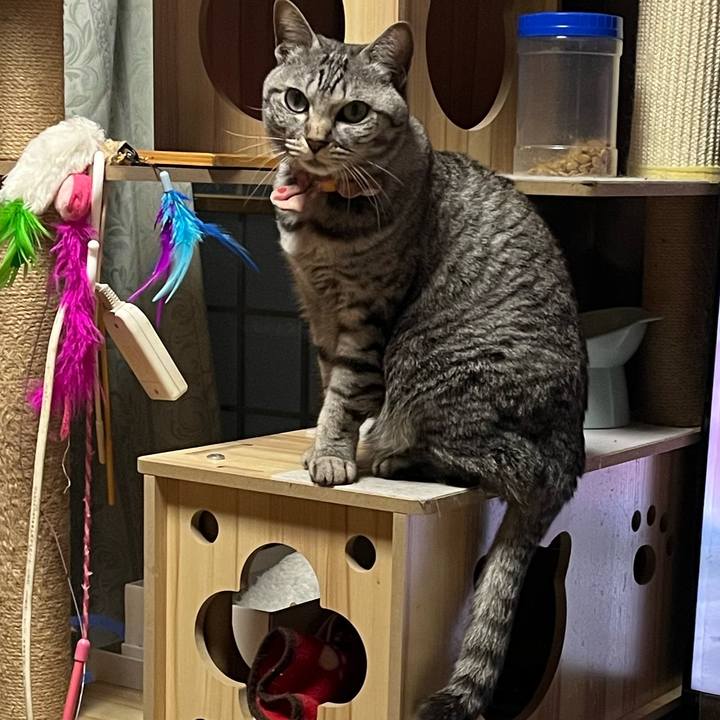 2b6a51f8 f190 46bf ae18 81f017b704ff 1774516024165