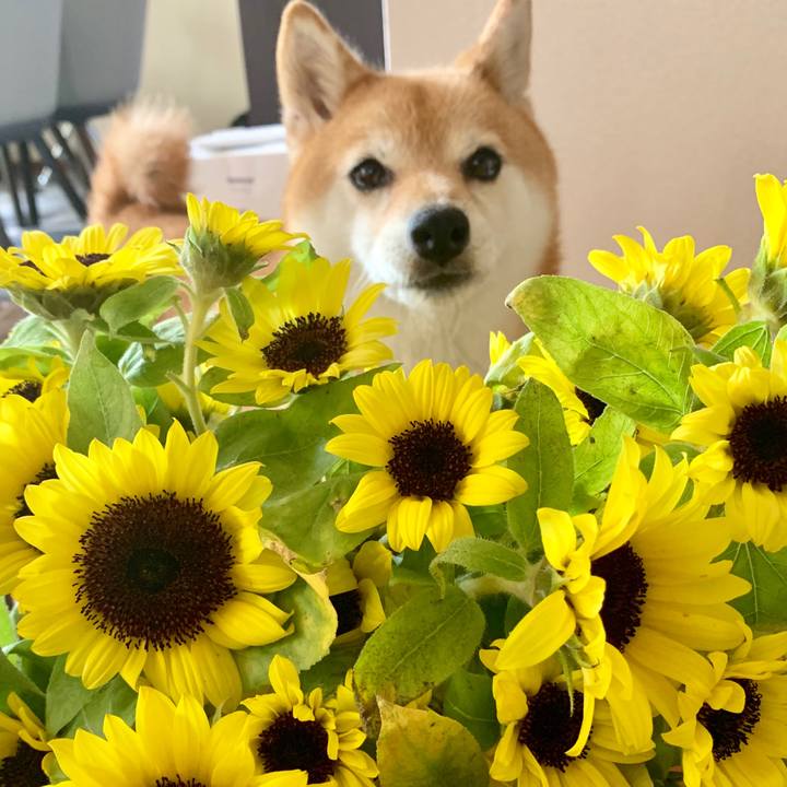 2b6a538b 67de 4e5f b017 5cdec1a20e06 1564368291934