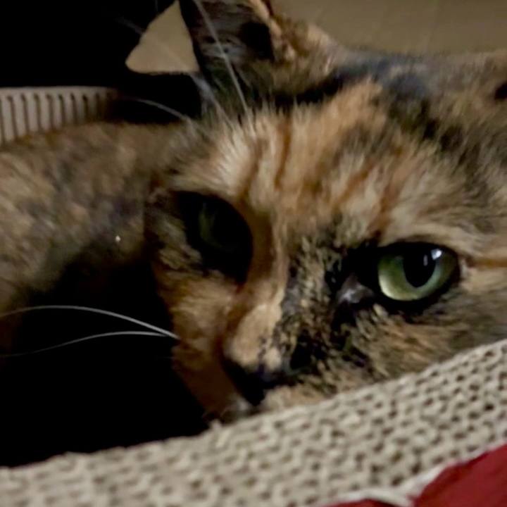 2b6a6212 3311 453c b56c 8ed6c51e2ea4 1755547854031