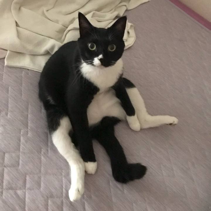 2b6aeabb 806e 4eb9 bd01 b4a700fac610 1570368772608