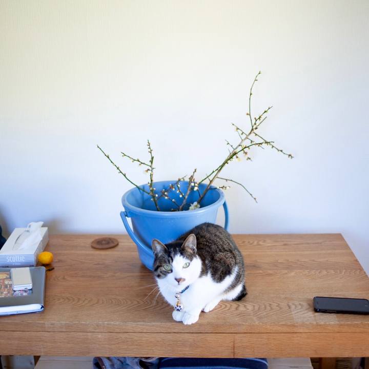 2b6aef0e a58c 476a 8d27 0ece495d59d5 1613964769221