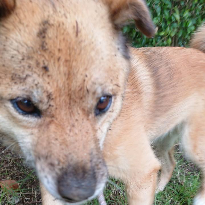 2b6b3147 6720 4aee 9ae1 87563ed3074f 1596190120055