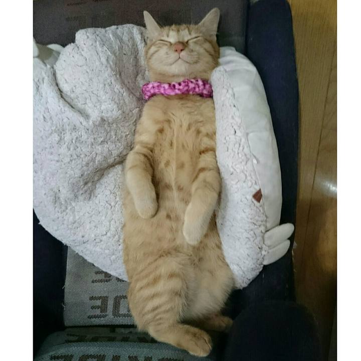 2b6b42d4 3ab8 4a1b ab5a b89ebab9868b 1545692629826