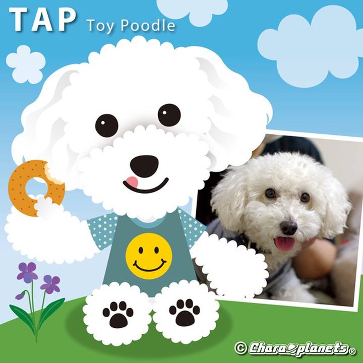 2b6b51c9 53af 4dbf b407 e476071257a5 1561597369345