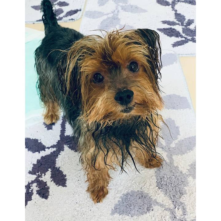 2b6b9377 2bdc 46ea a2fc e5797fafe865 1565681082367