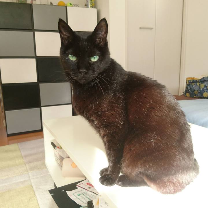 2b6ba1b2 d266 4fee ae4d c882e065a0a4 1519729206237